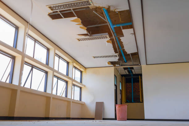 Best Water damage cleanup near me  in Baidland, PA