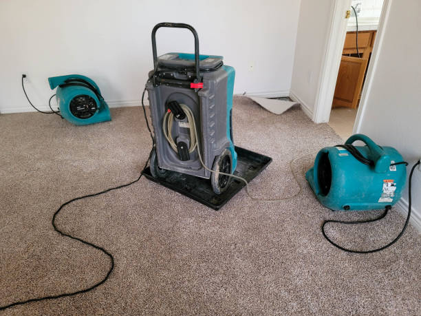  Baidland, PA Water damage restoration Pros