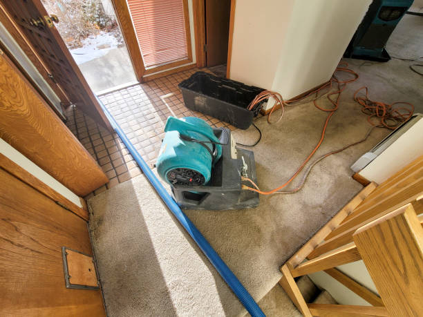 Best Flood damage cleanup  in Baidland, PA