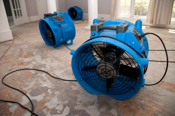 Best Ceiling water damage repair  in Baidland, PA