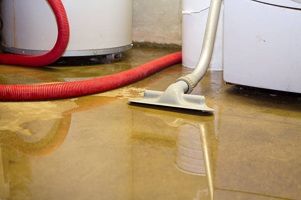 Best 24/7 water damage repair  in Baidland, PA