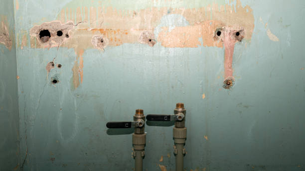 Best 24-hour water damage restoration  in Baidland, PA