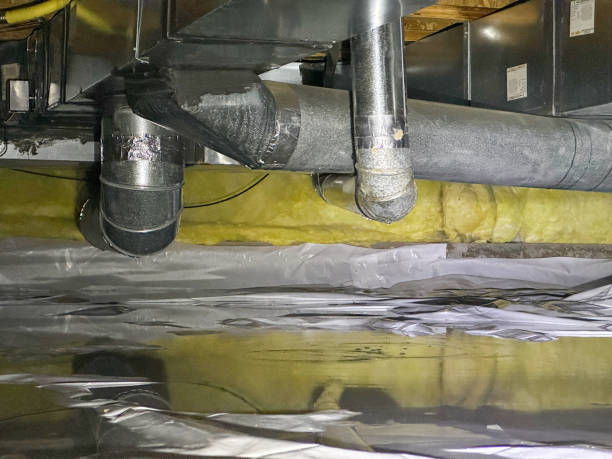 Best Basement water damage restoration  in Baidland, PA