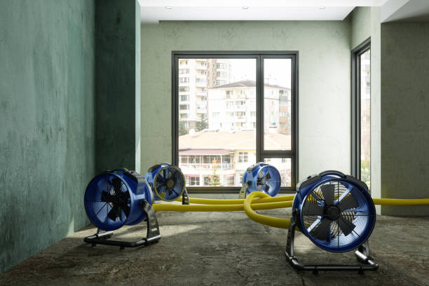 Best Water damage contractors near me  in Baidland, PA
