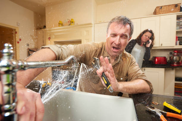 Best Mold removal after water damage  in Baidland, PA